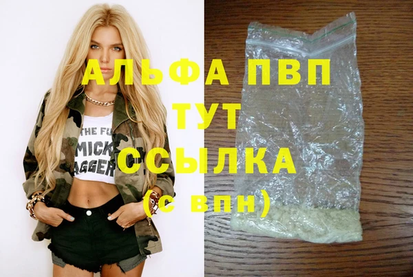 СК Бородино