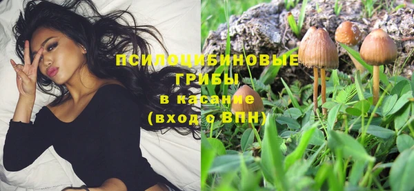 прущая мука Бронницы