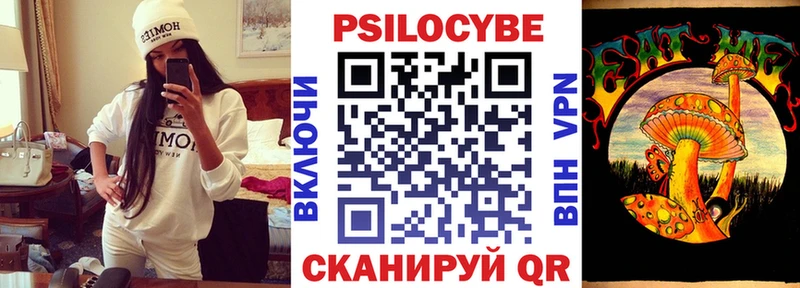 Галлюциногенные грибы Psilocybe  даркнет сайт  Ижевск 